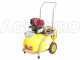 GeoTech SP 320 4S ALU - Pompa irroratrice a scoppio carrellata - 4 tempi a benzina